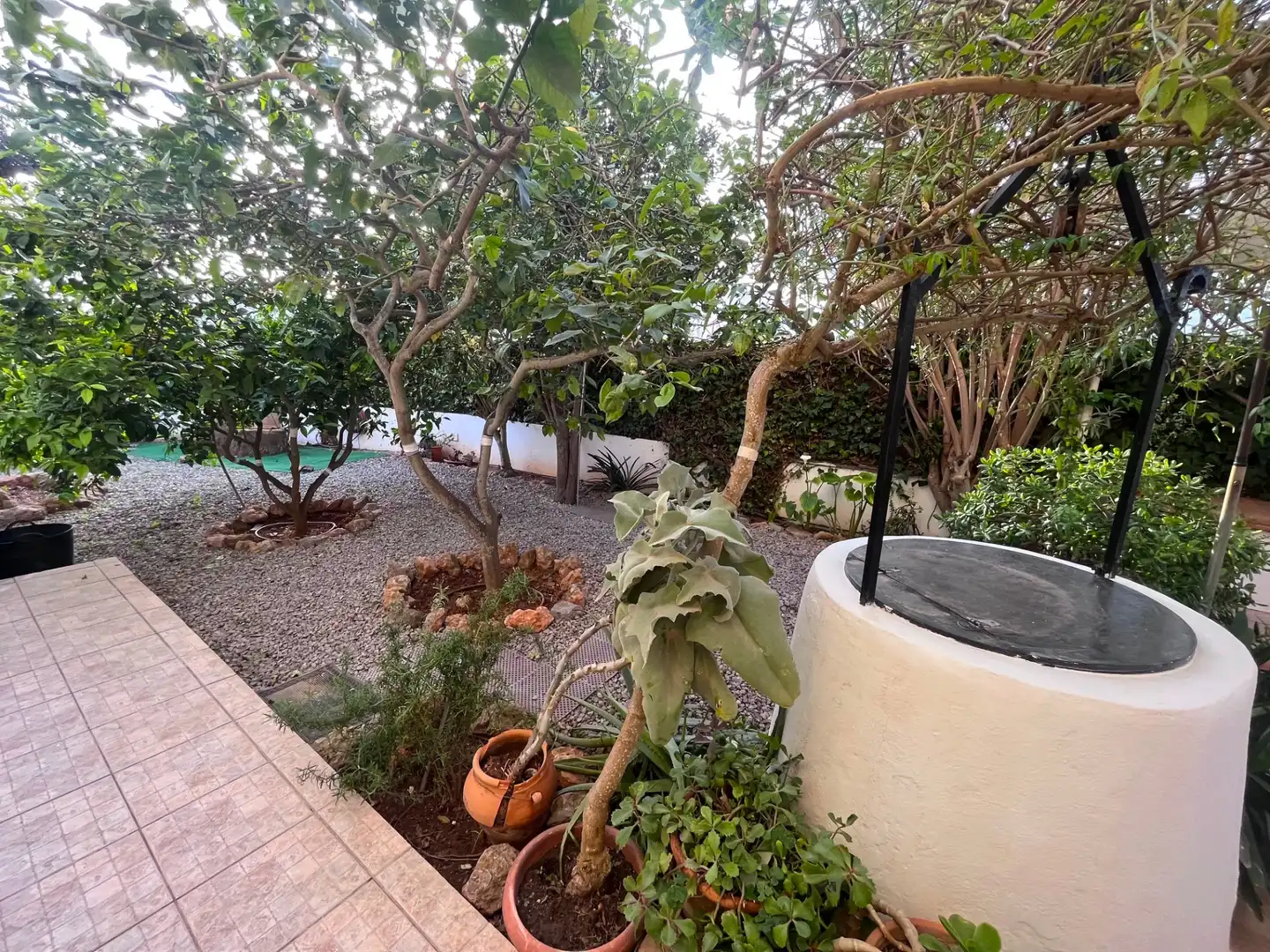Apartamento de alquiler en Carrer de la Guàtlera, Jesús