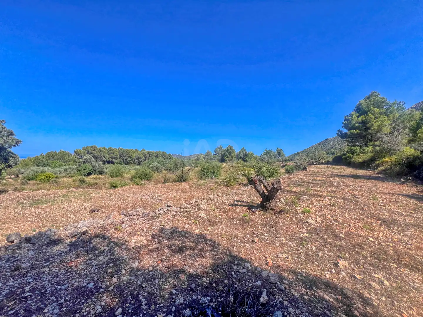 Residencial en venta en Murla