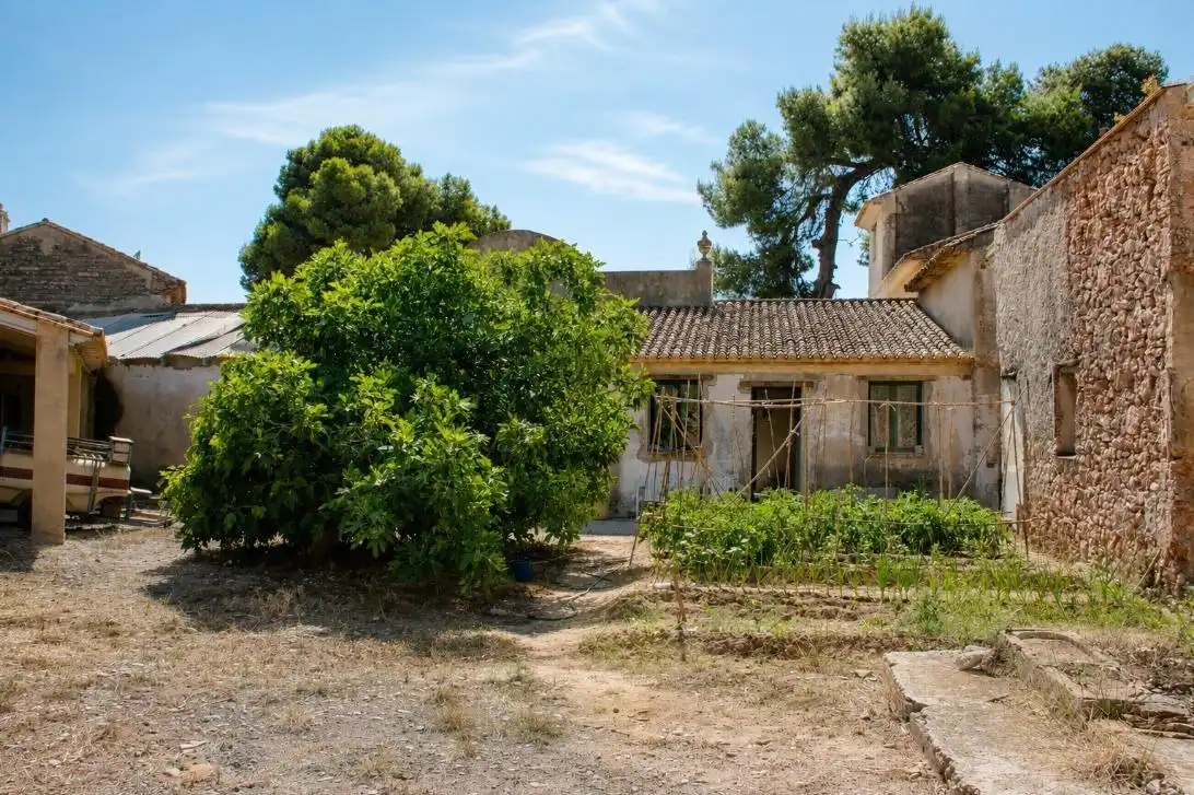 Vista exterior de Finca rústica en venta en Oliva
