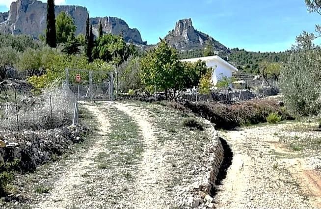 Grundstücke zum verkauf in Benifato
