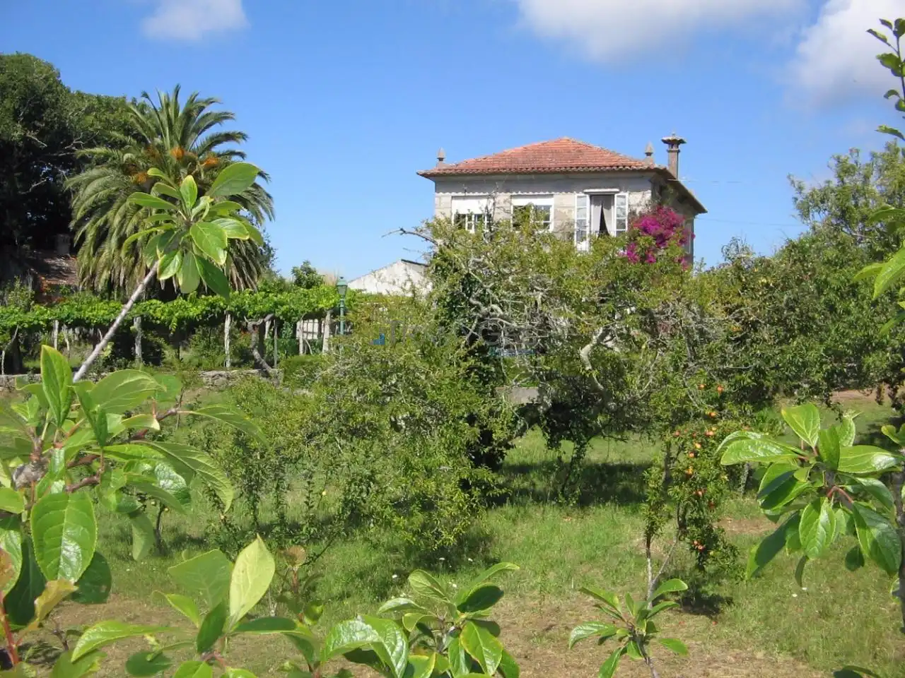 Jardín de Casa o chalet en venta en Vigo  con Jardín privado