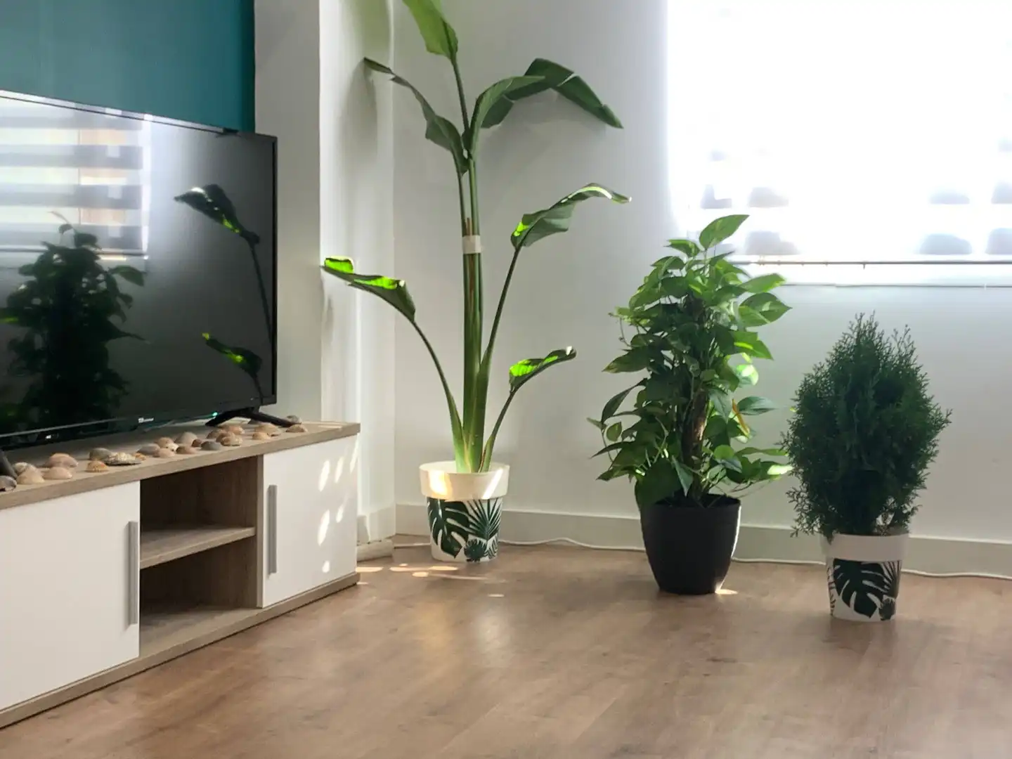 Room in Carrer Mare de Deu dels desamparats, Centro
