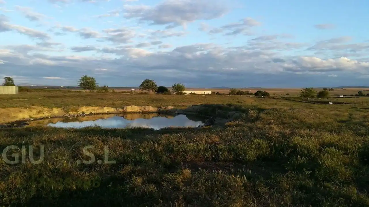 Terreni e lotti in vendita a Valdesalor - Rincón de Ballesteros, imagen 4