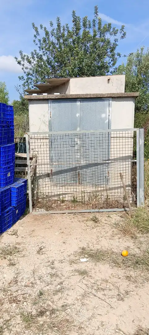 Rural land for sale in Vilamarxant, imagen 3