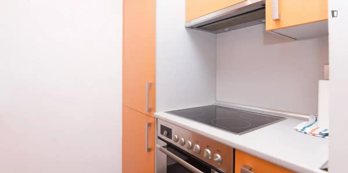 Apartamento con ascensor en alquiler en Centro, imagen 7