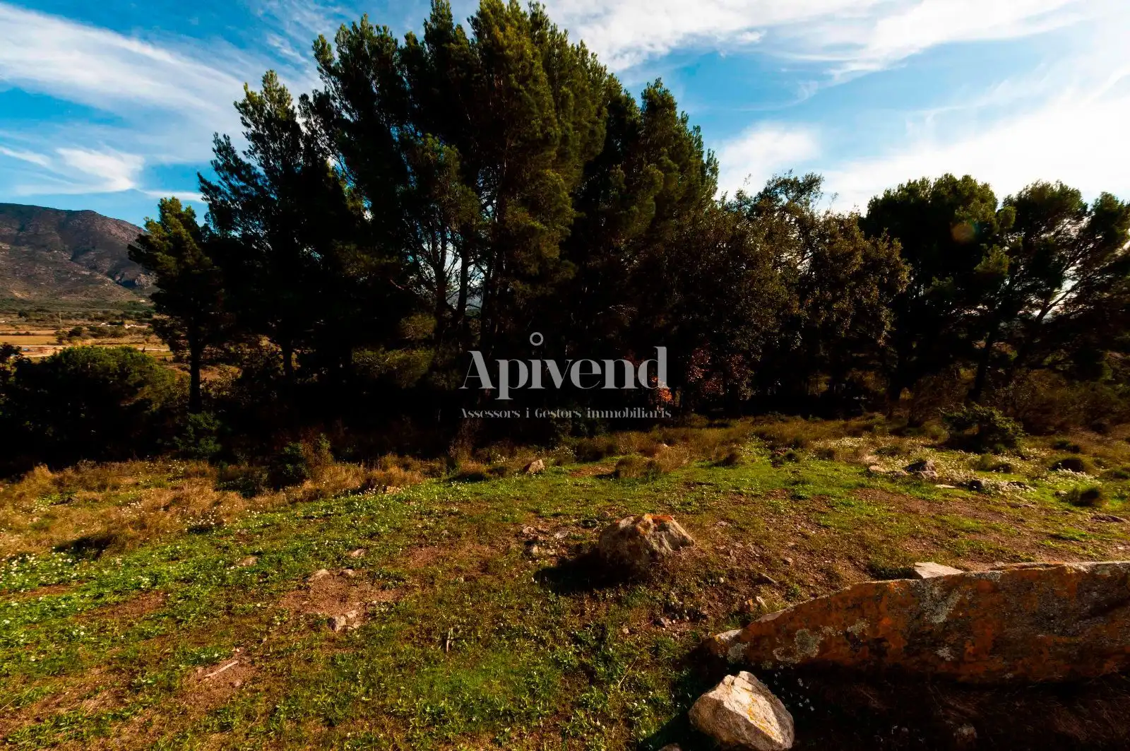 Rural land for sale in Molí de Vent, imagen 10