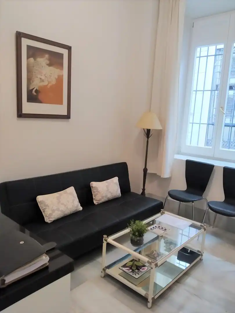 Sala de estar de Apartamento de alquiler en Málaga con Aire acondicionado y Amueblado