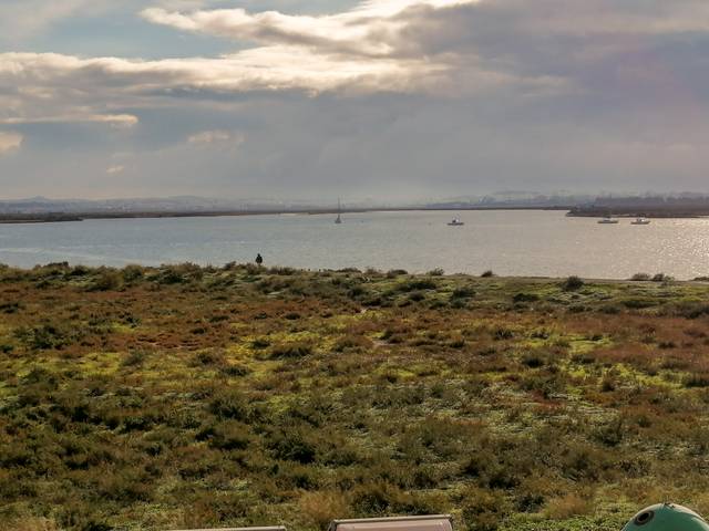 Piso en Alquiler en Avenida Ronda del Estero, 74 en Ronda del Estero