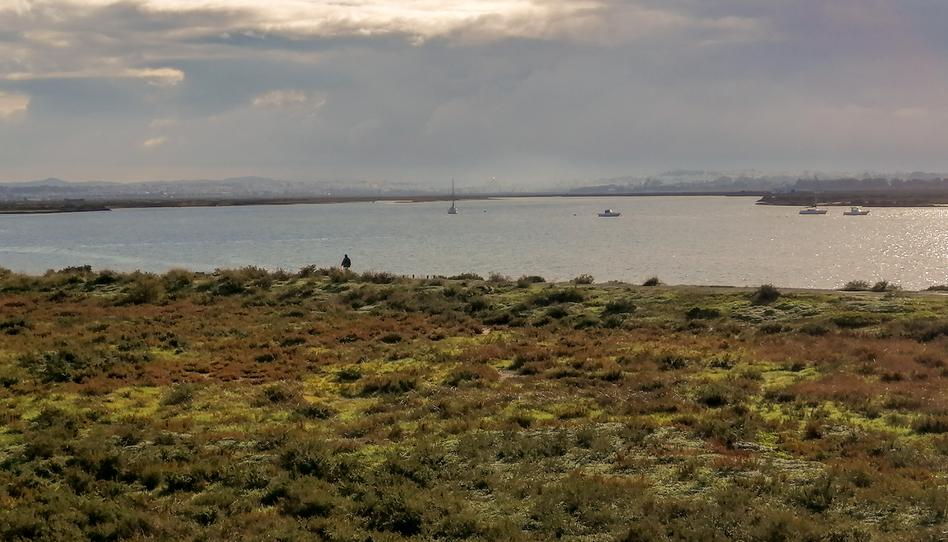 Foto 1 de Piso de alquiler en Avenida Ronda del Estero, 74, Ronda del Estero, Cádiz