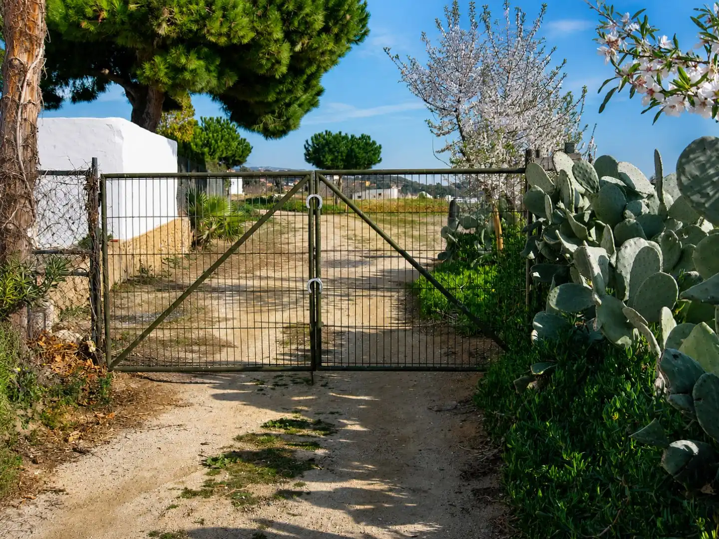 Casa rústica con jardín en venta en Camí cinc sènies 36, imagen 13