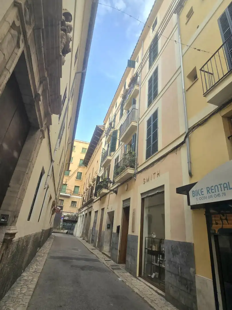 Vista exterior de Piso en venta en  Palma de Mallorca con Aire acondicionado, Calefacción y Terraza