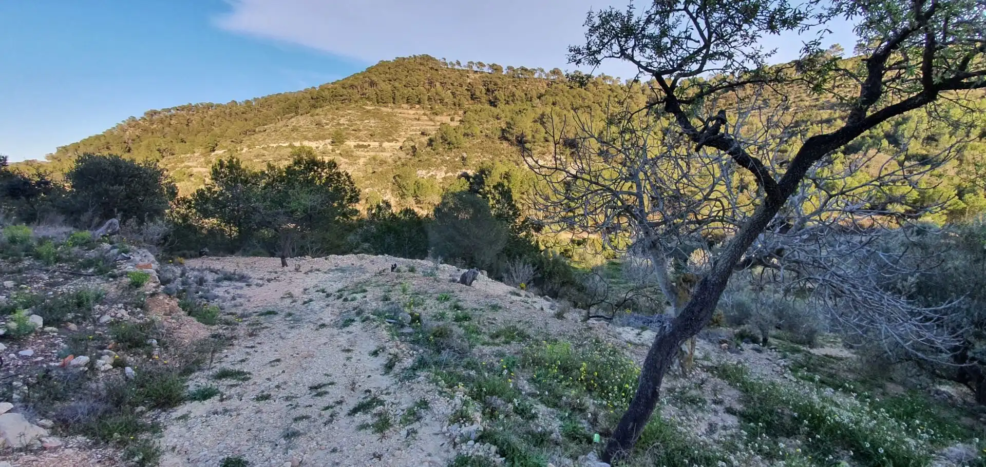 Casa o chalet en venta en Rasquera