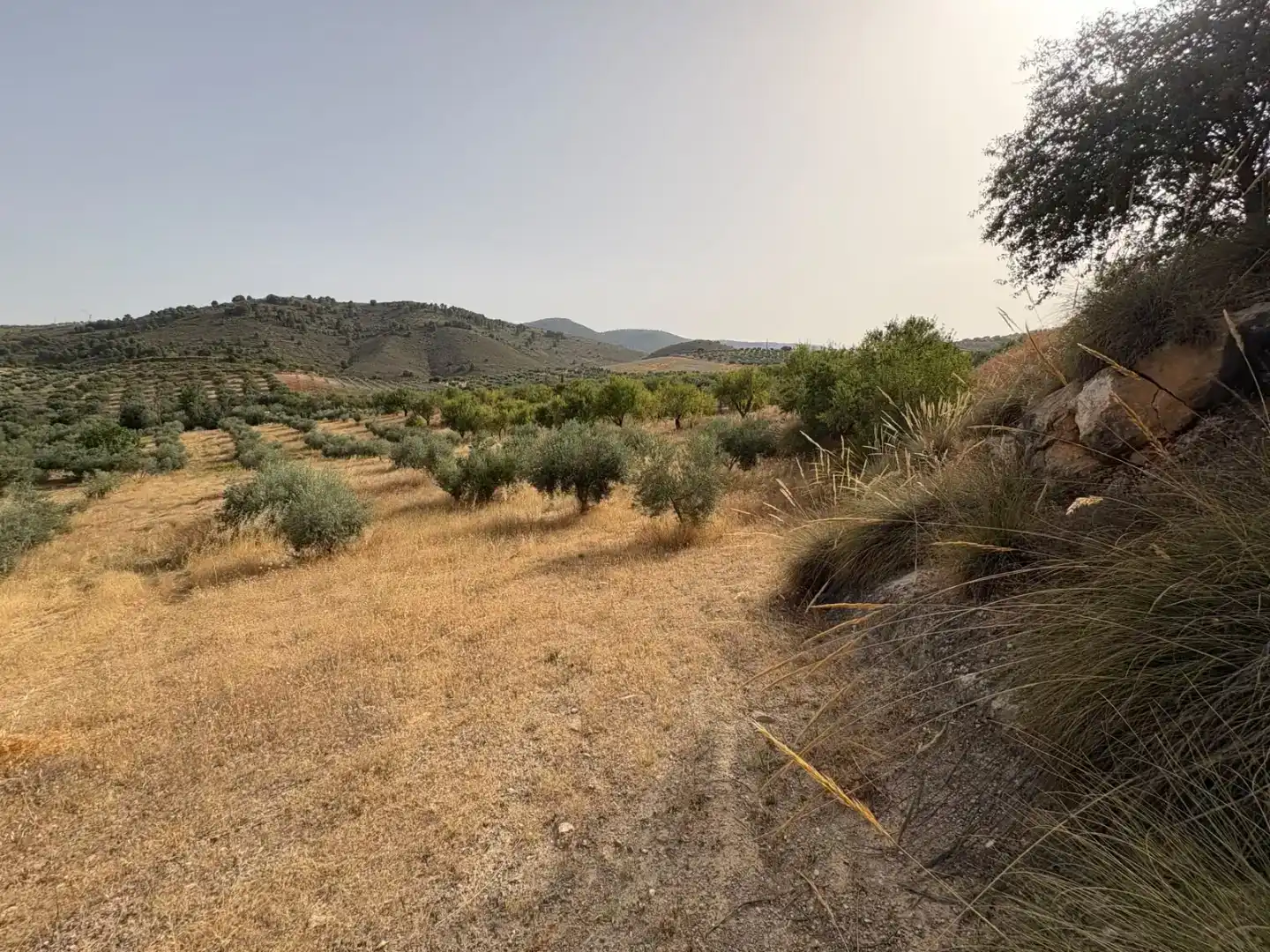 Pis en venda en Padul amb Jardí privat