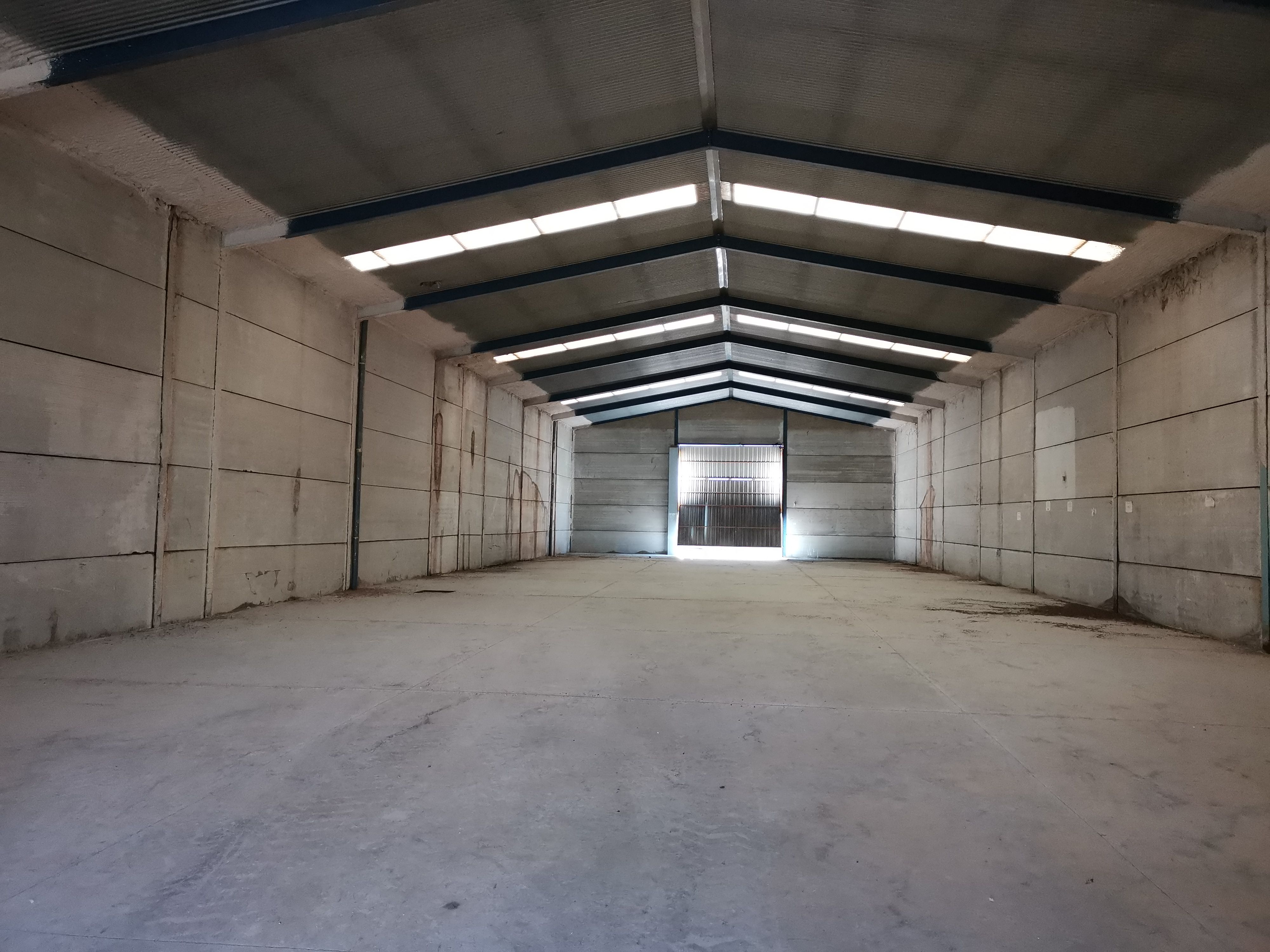 Nau industrial de lloguer en Alcalá del Río