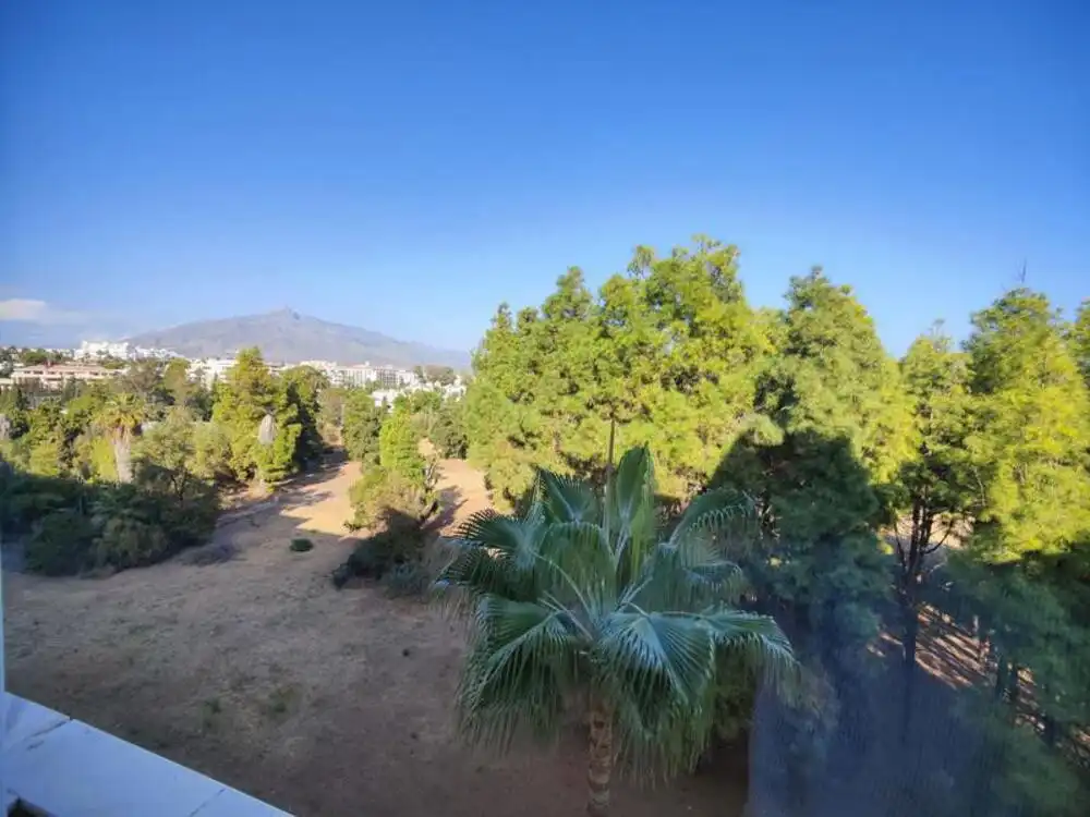 Apartament amb piscina de lloguer a Nueva Andalucía, imagen 21