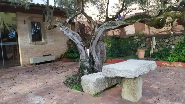 Business premises to rent in Calle Tiétar 62, imagen 13
