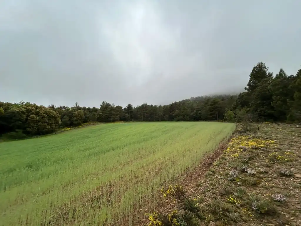 Country homes for sale in El Toro