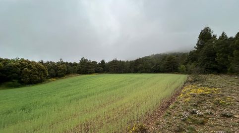 Foto 2 de Finca rústica en venda a Partida Alcotillas, El Toro, Castellón
