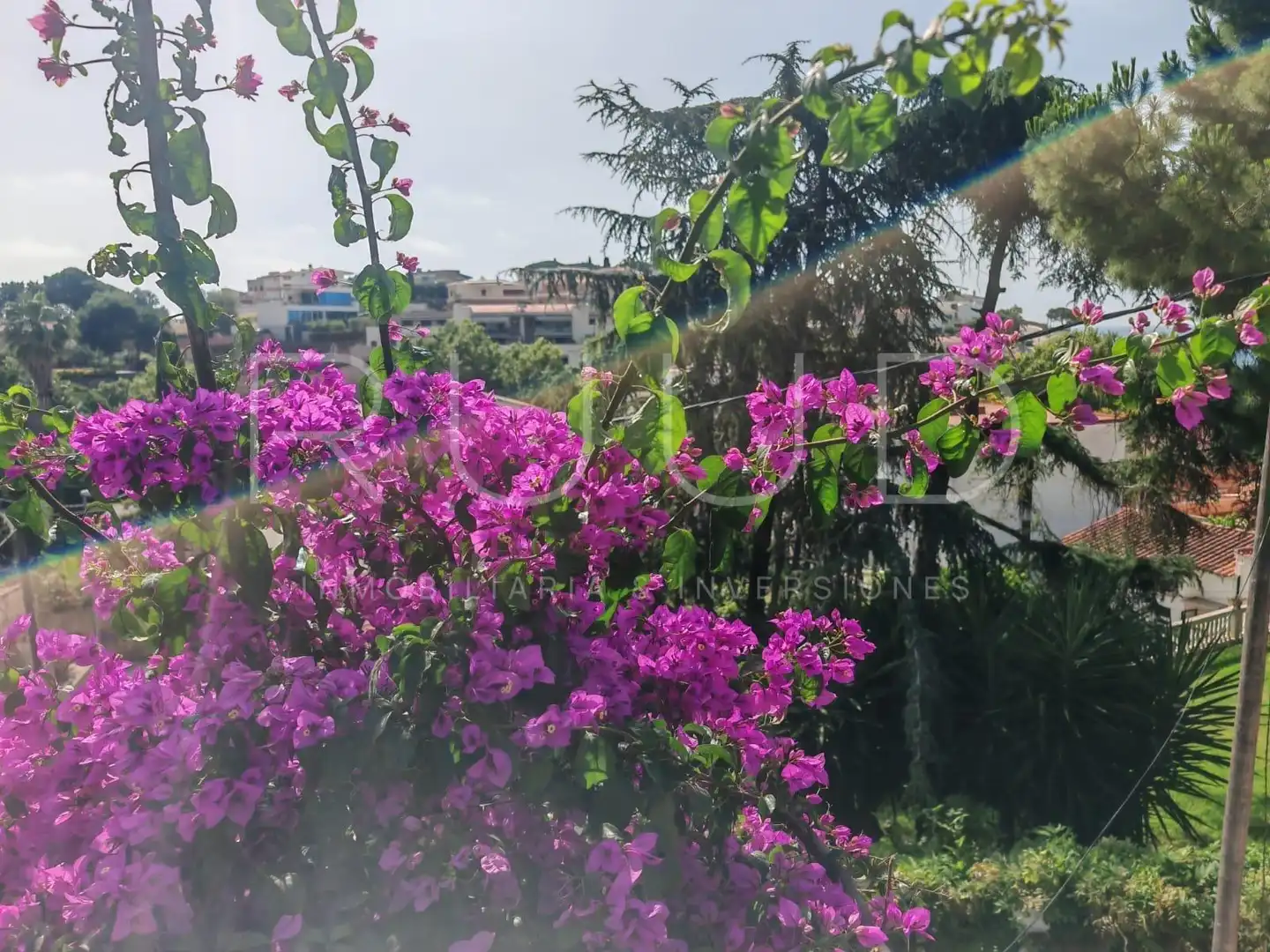 Casa con jardín en venta en Carrer CREUETA, imagen 20