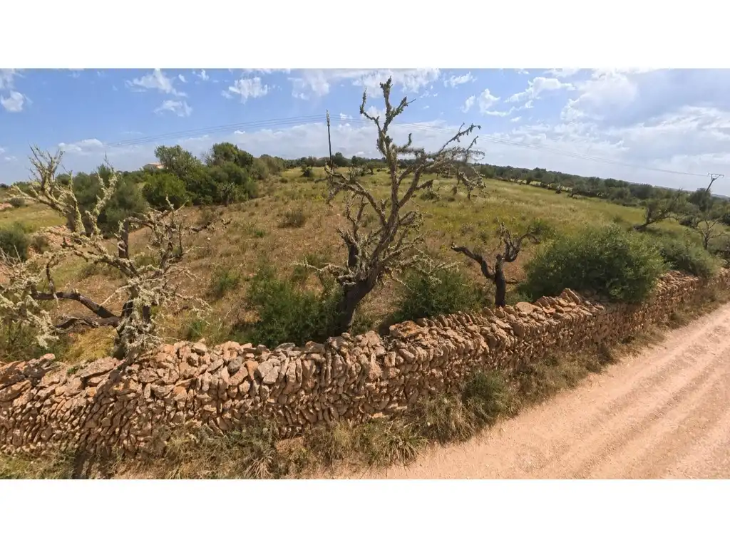 Residential land for sale in Carrer sa Carrotja, imagen 5