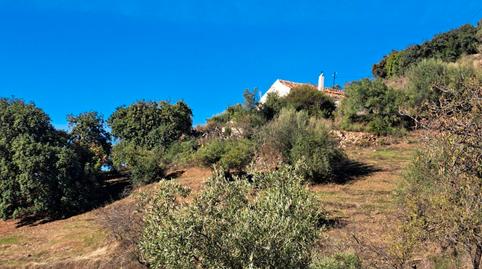 Foto 2 de Casa o xalet en venda a Calle Camino de Solano, Colmenar, Málaga
