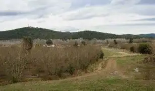 Rustikales Grundstück zum Verkauf in Sc PPU-03 Riera Seca, imagen 7