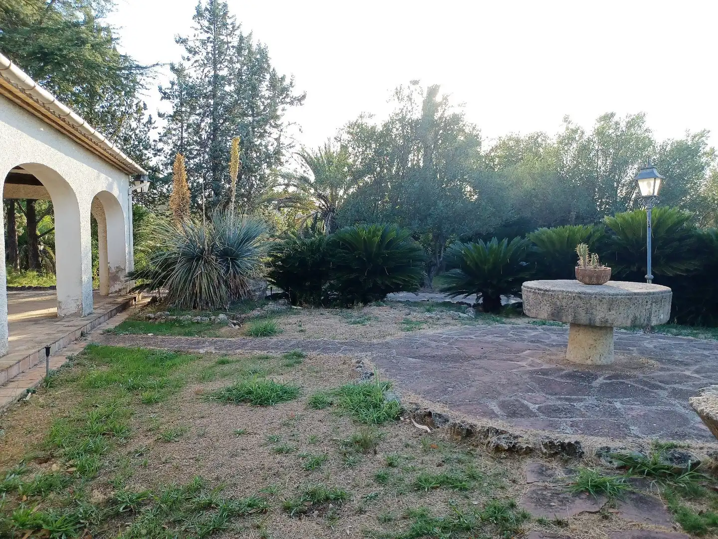 Garden of Houses for sale in Albaida  with Storage room and Swimming Pool