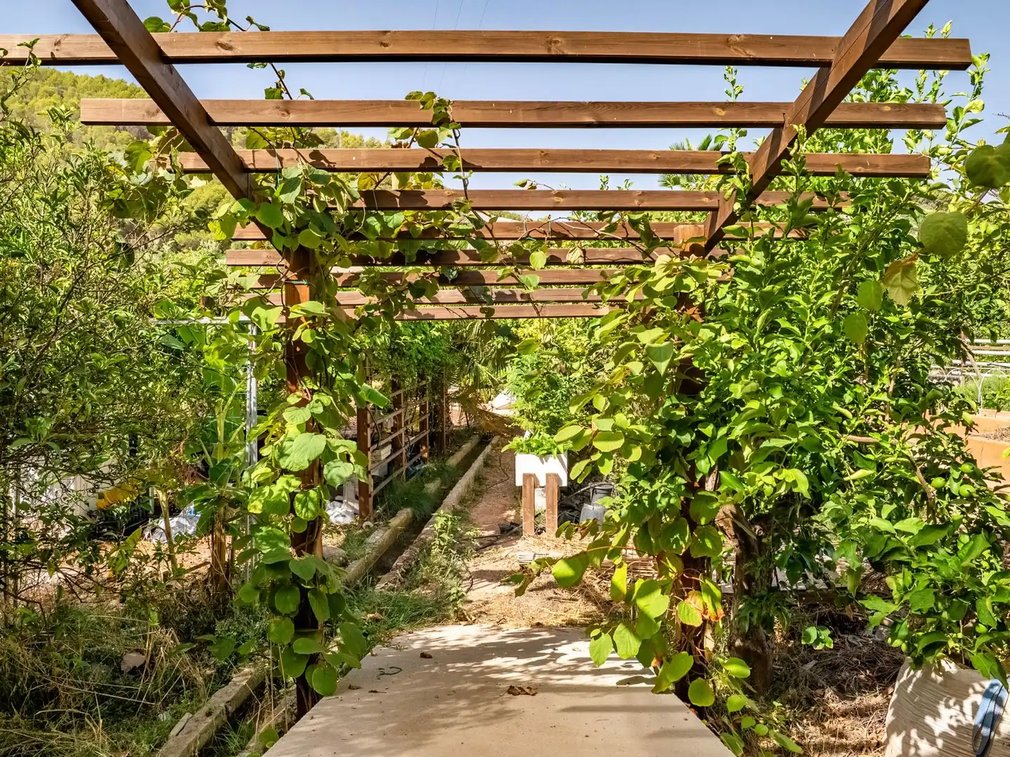 Jardín de Casa o chalet en venta en Callosa d'en Sarrià con Aire acondicionado, Jardín privado y Trastero
