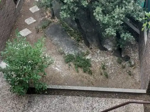 Jardí de Casa o xalet de lloguer en La Navata