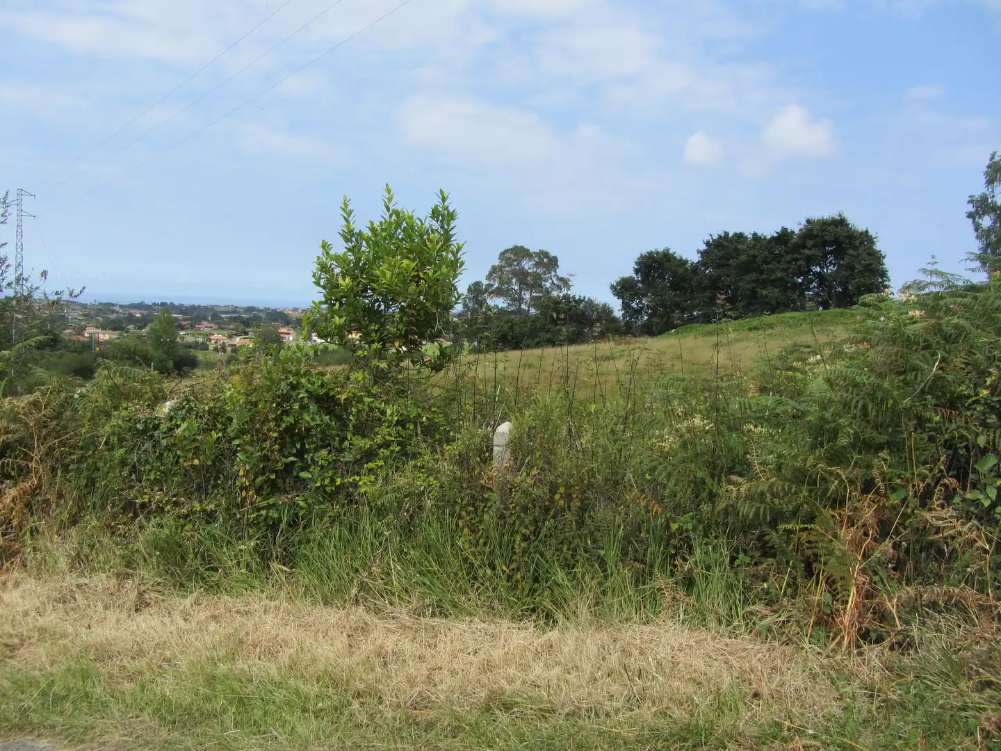 Terreny residencial en venda a Camin de los Payares, imagen 42