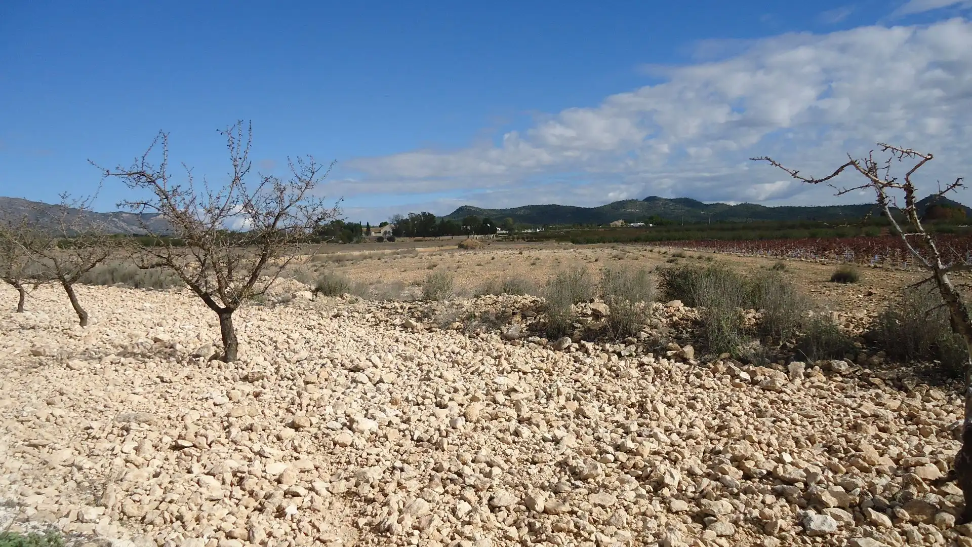 Terreno rústico en venta en El Pinós / Pinoso, imagen 3