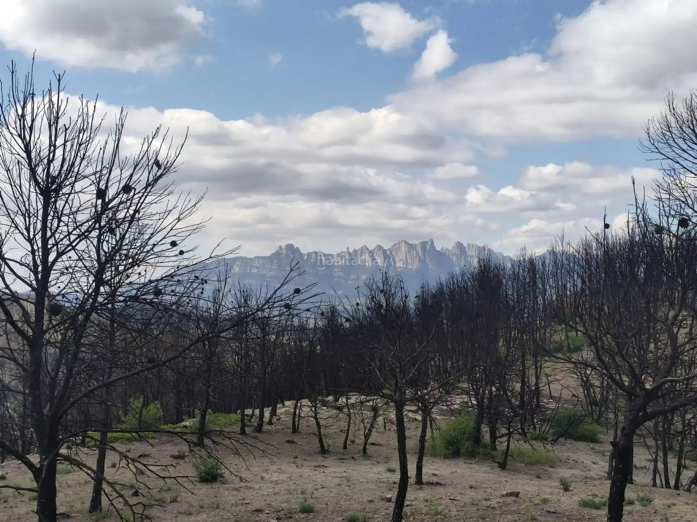 Wohnbaugrundstück zum Verkauf in Carrer Isard 23C, imagen 6