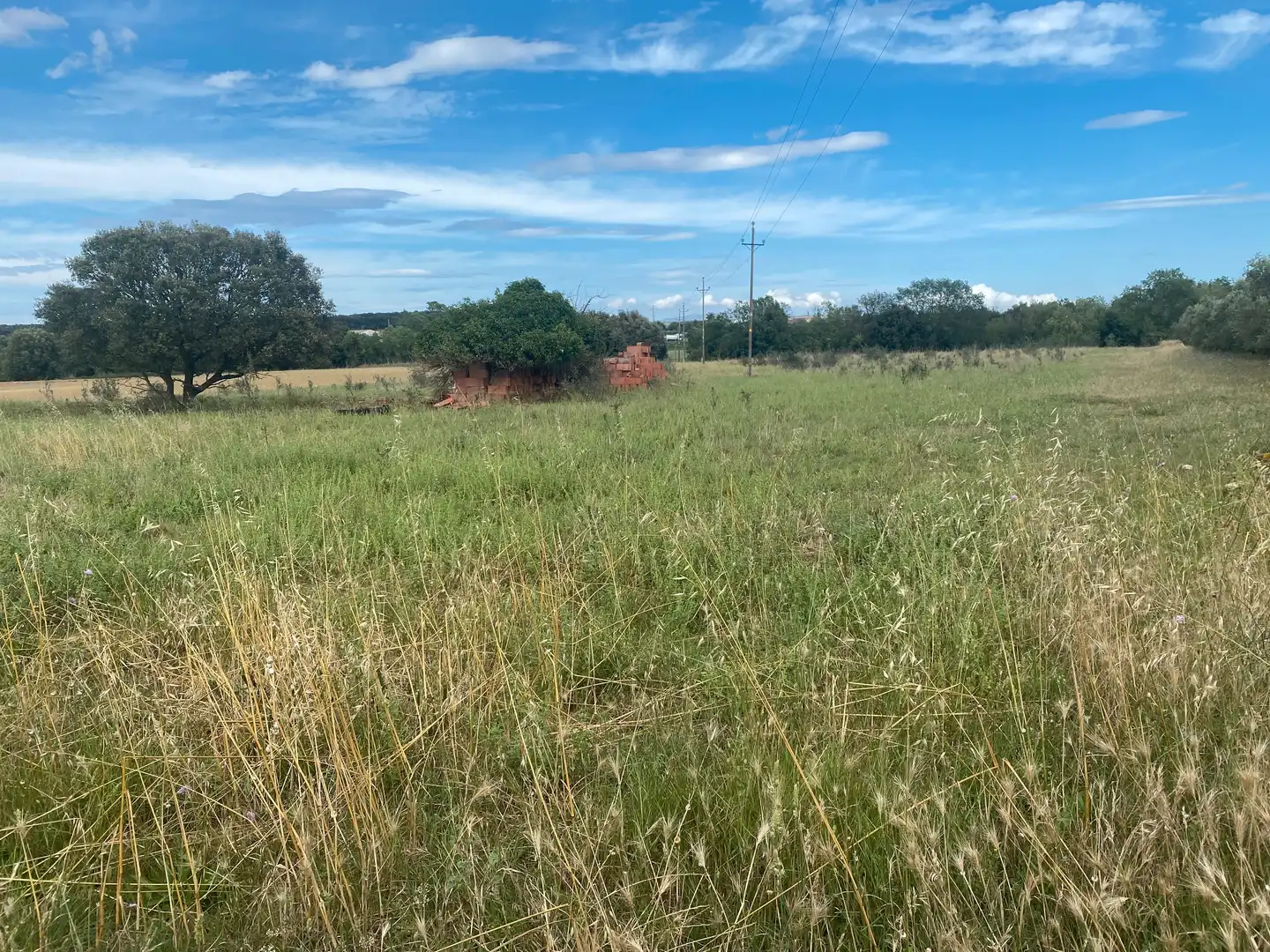 Terreno rústico en venta en Avinyonet de Puigventós, imagen 2
