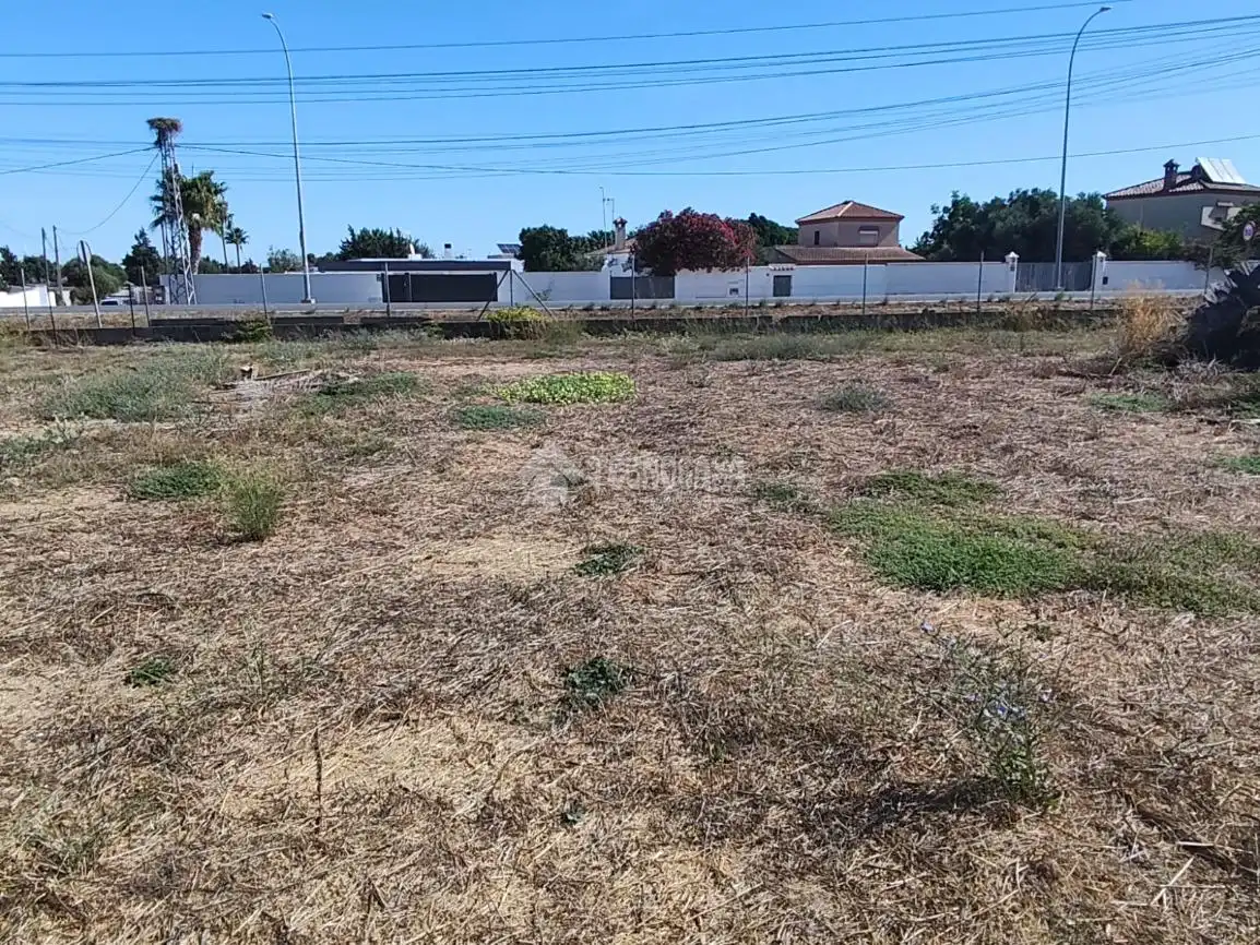 Terreno rústico en venta en Pelagatos - Pago del Humo, imagen 14