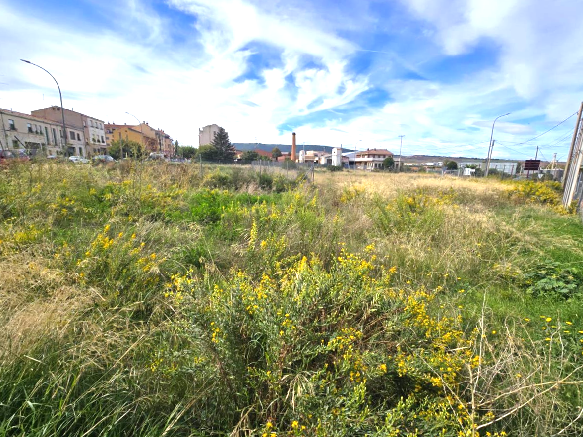 Residential for sale in Navarrete