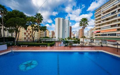 Swimming pool of Flat for sale in Benidorm  with Private garden and Community pool