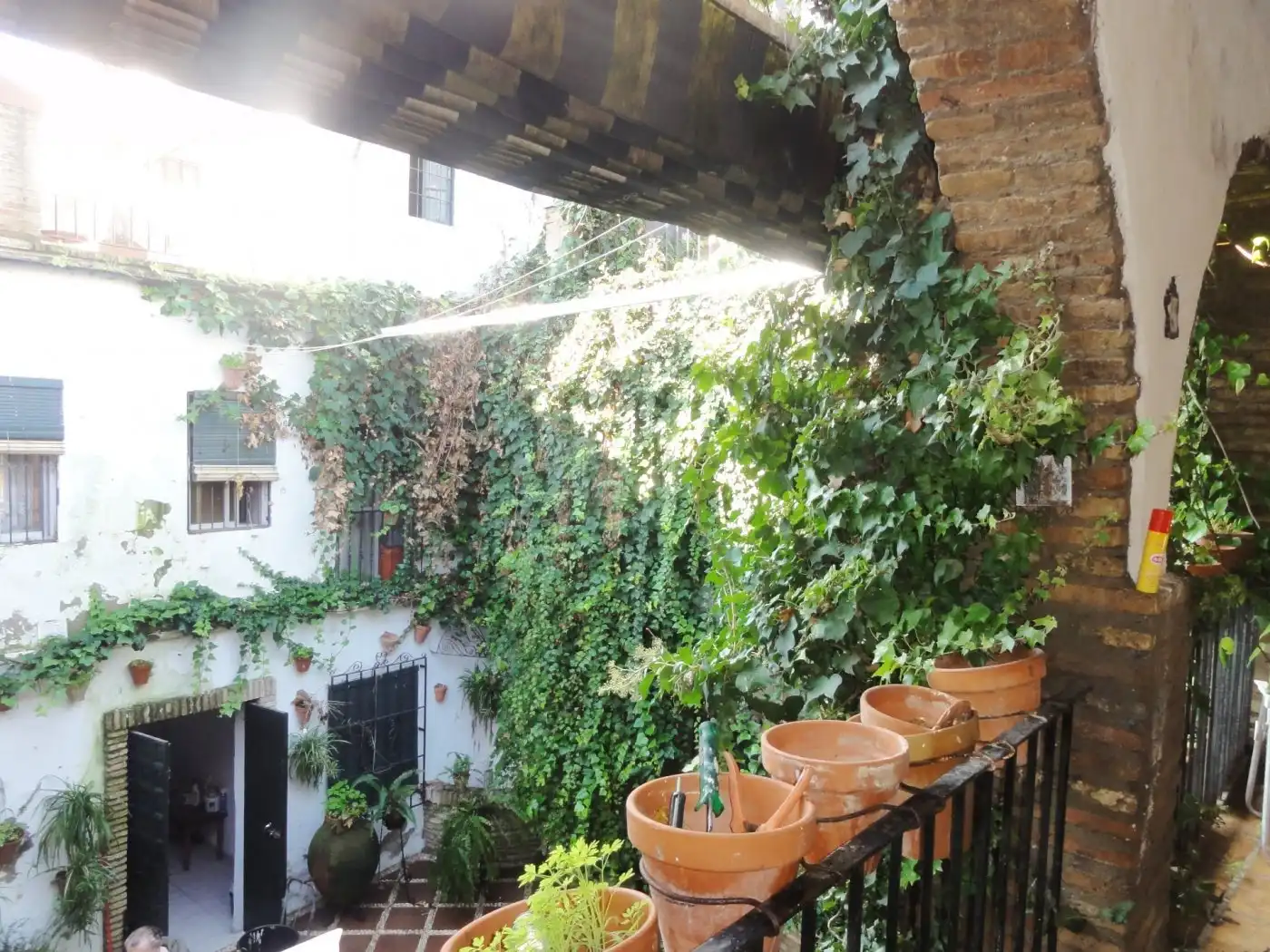 Jardí de Casa o xalet en venda en Córdoba