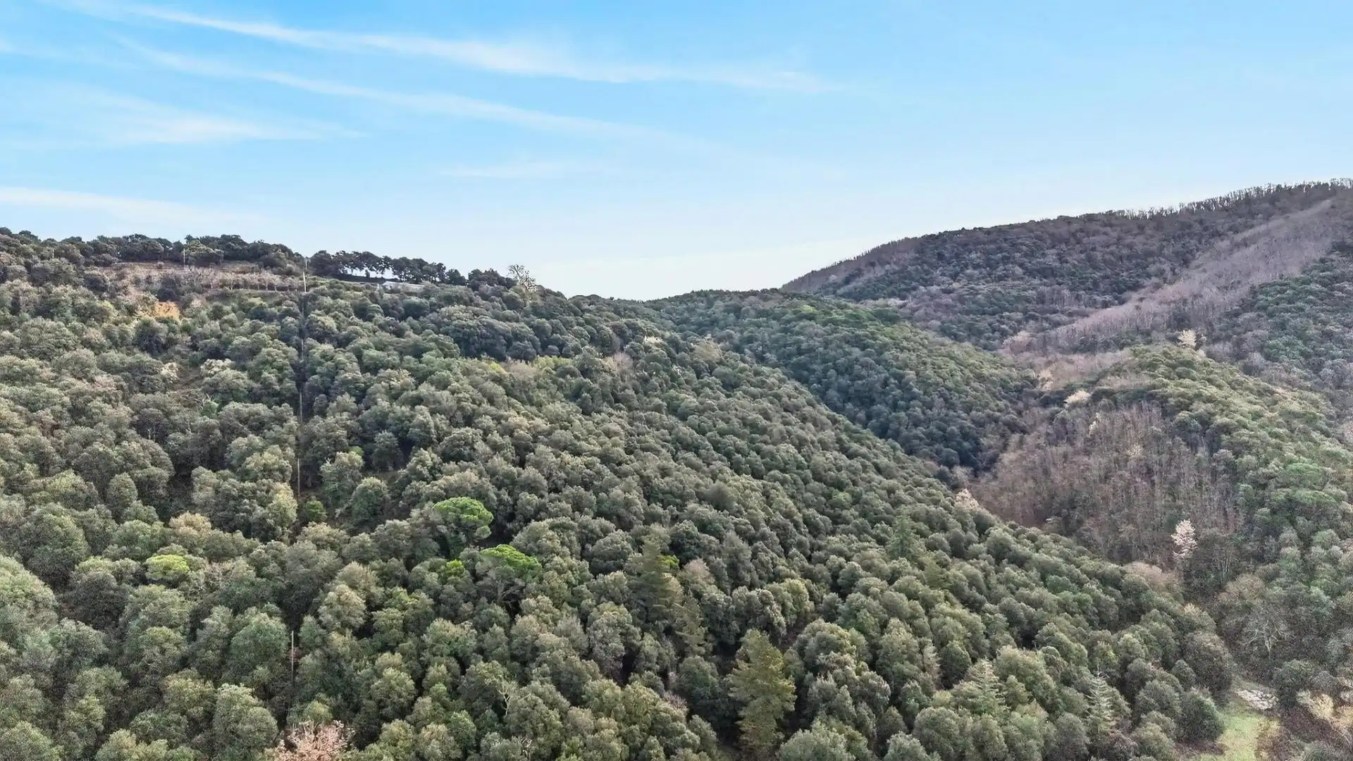 Villa con piscina in vendita a Carretera Montnegre, imagen 49