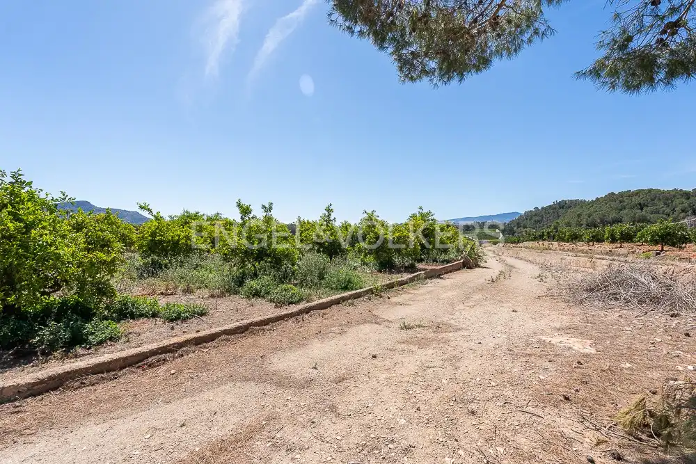 Terrenys i solars en venda a Palma de Gandia, imagen 23