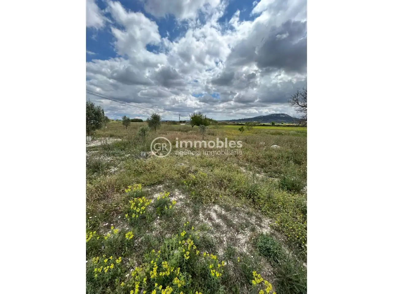 Terreno rustico in vendita a Sineu, imagen 6