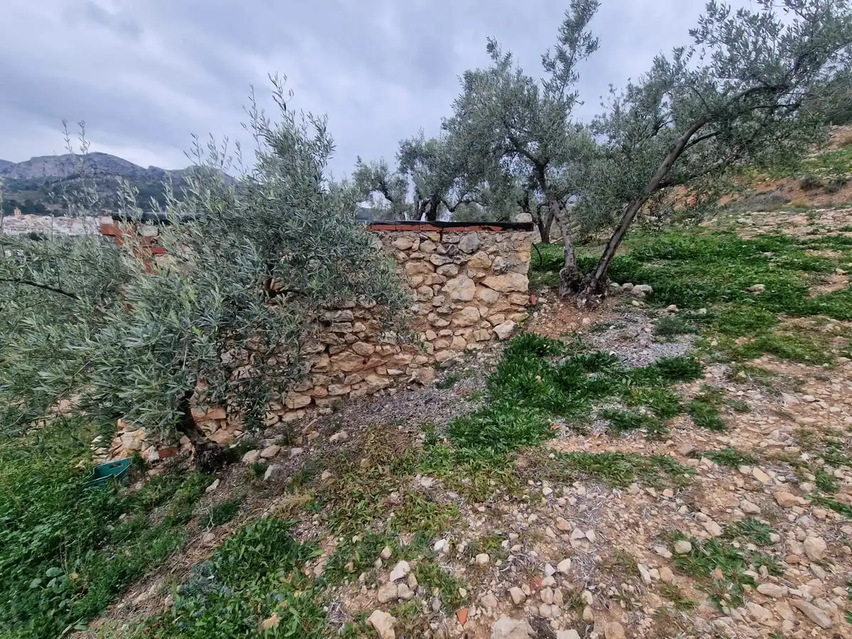 Maison rustique à vendre à Confrides, imagen 12