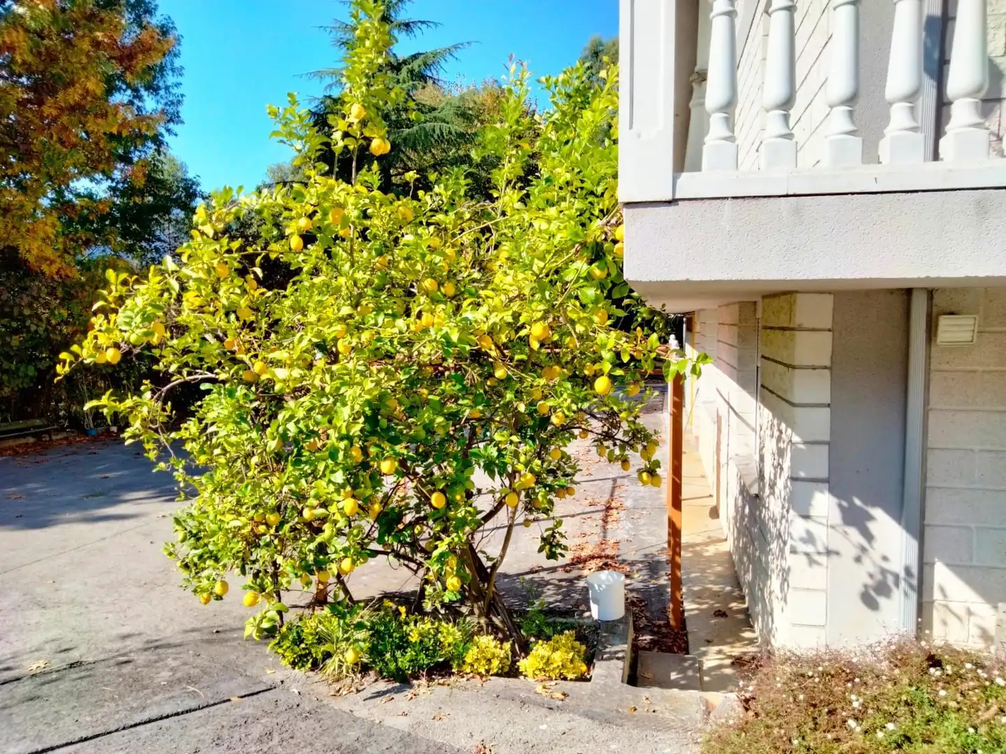 Vista exterior de Casa o xalet en venda en Arrankudiaga / Zollo amb Calefacció, Jardí privat i Traster