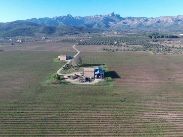 Casa rústica con jardín en venta en El Perelló
