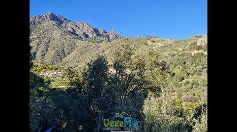 Foto 5 de Finca rústica en venta en La Boveda, El Rescate - Río Seco, Almuñécar