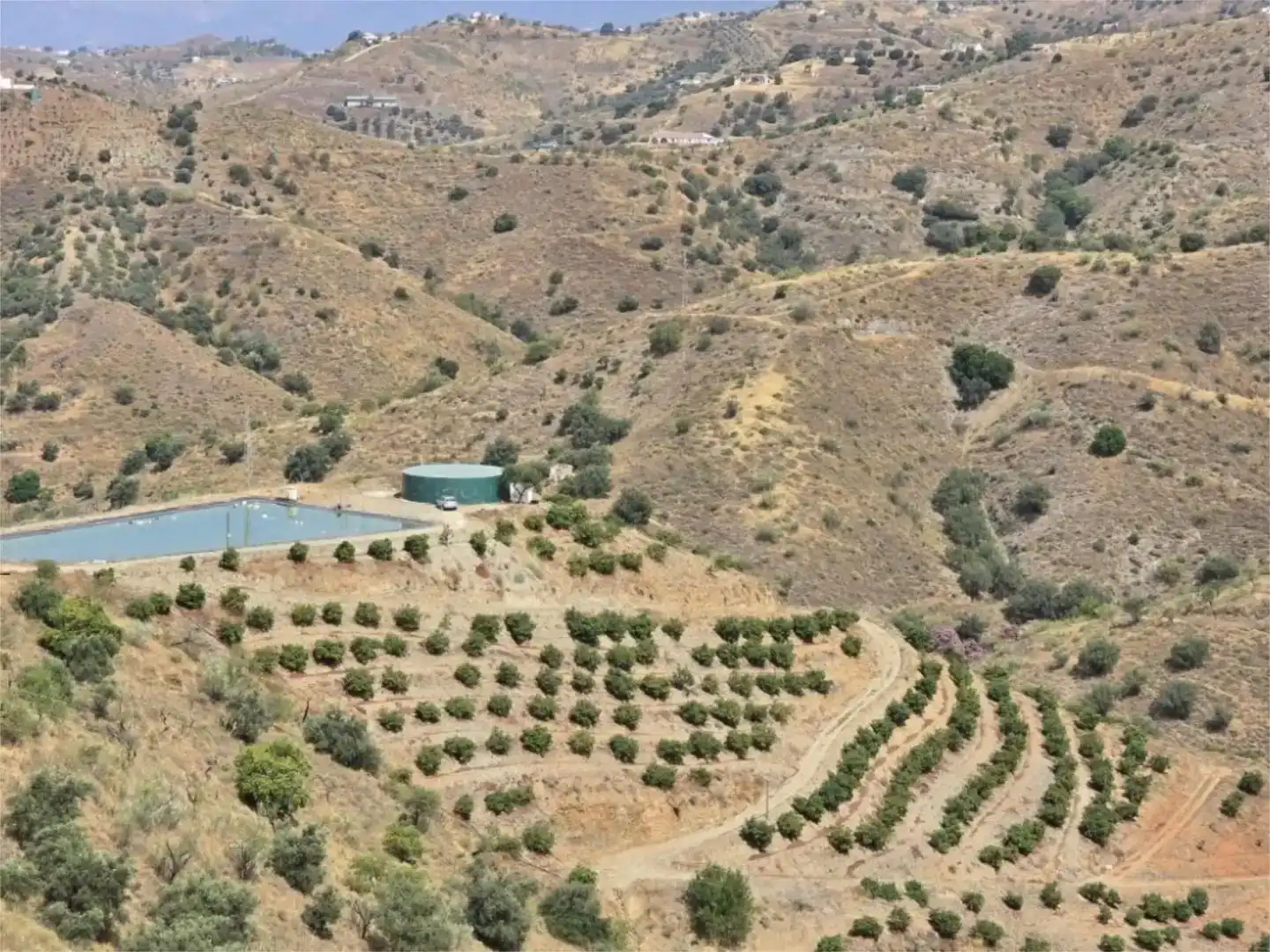 Finca rústica en venda en Vélez-Málaga