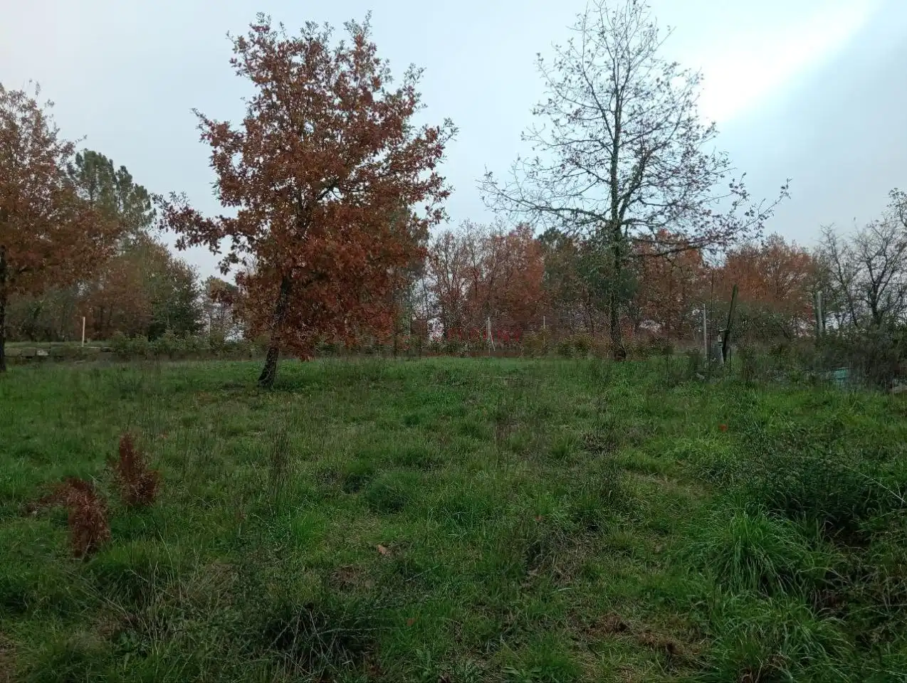 Terreny residencial en venda a San Cibrao das Viñas, imagen 10