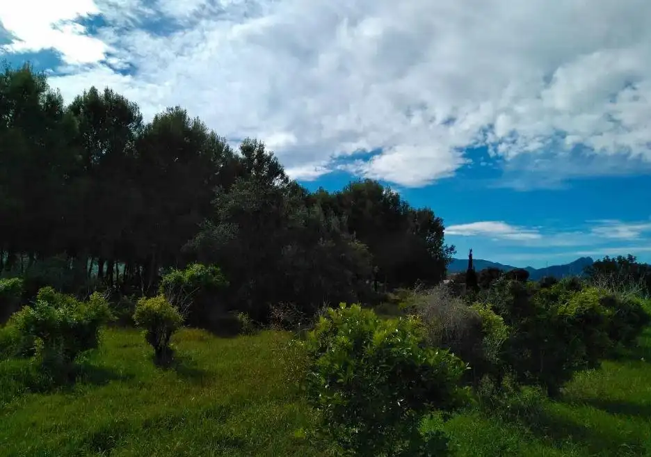 Terreny rústic en venda a Beniarbeig, imagen 2