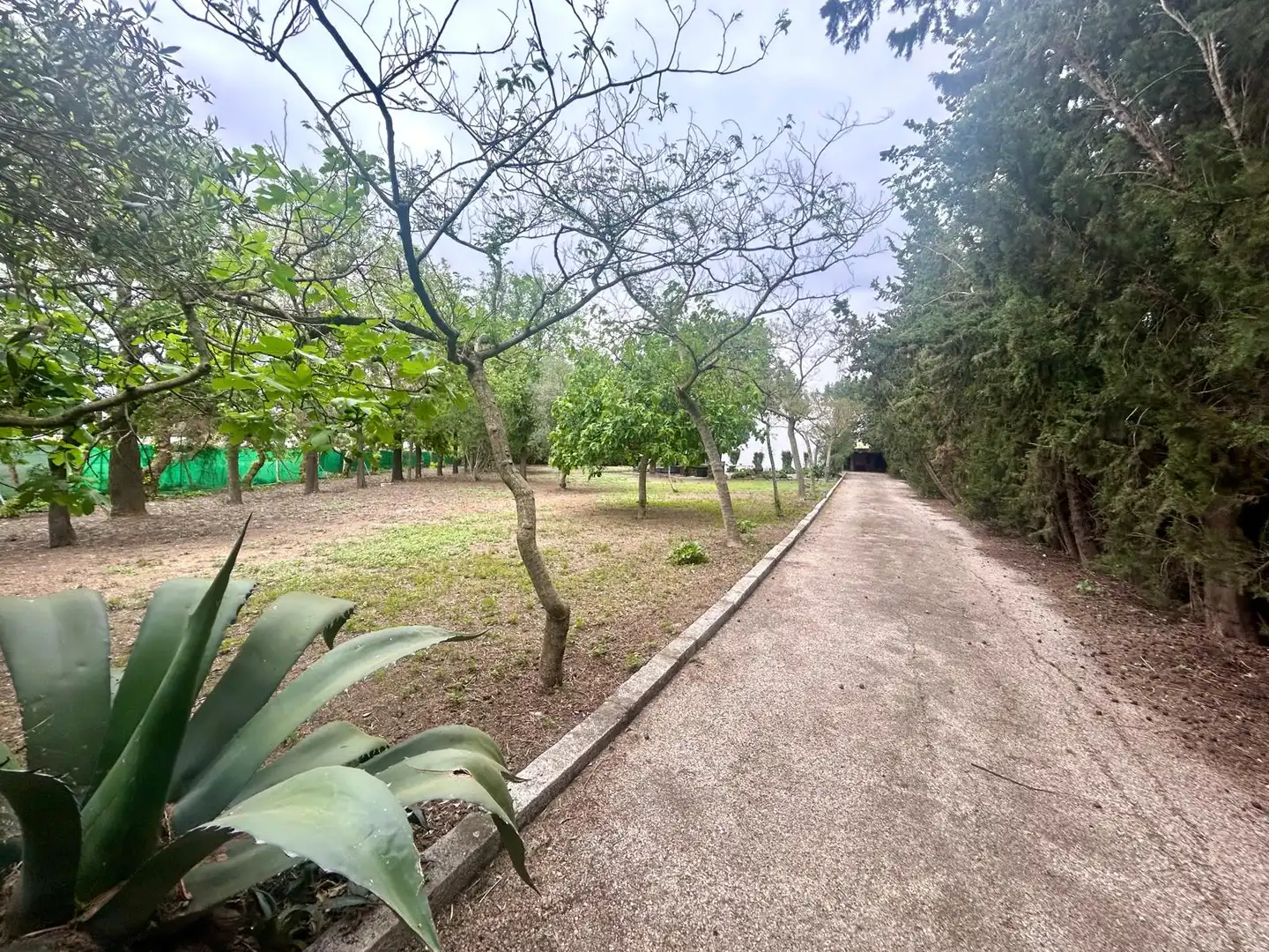 Country homes for sale in Caballero Bonald - San José Obrero - Guadalcacín