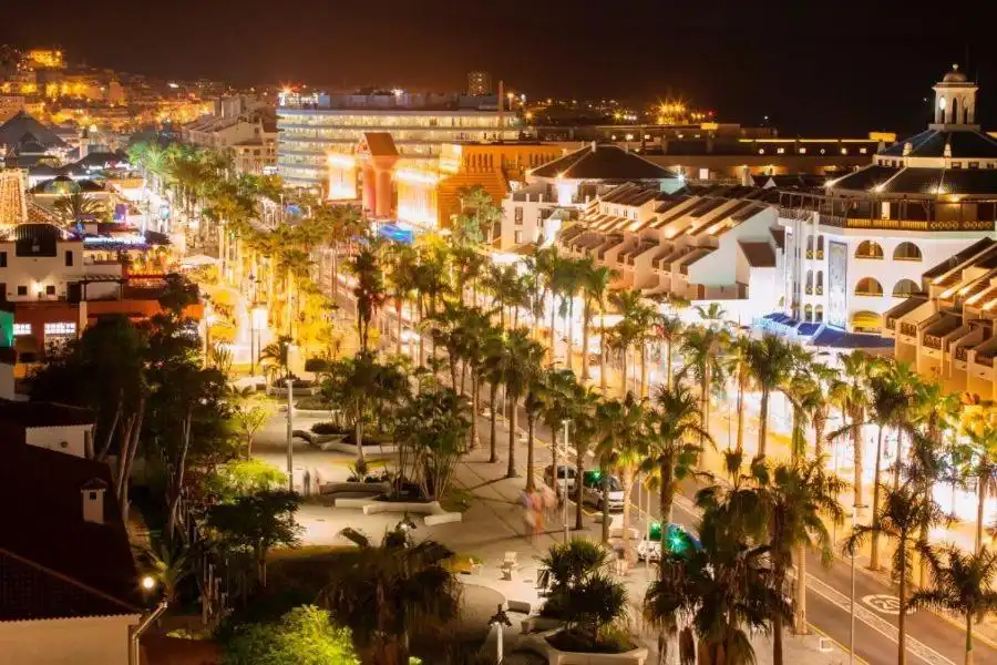 Local comercial de lloguer a Playa de las Américas, imagen 29