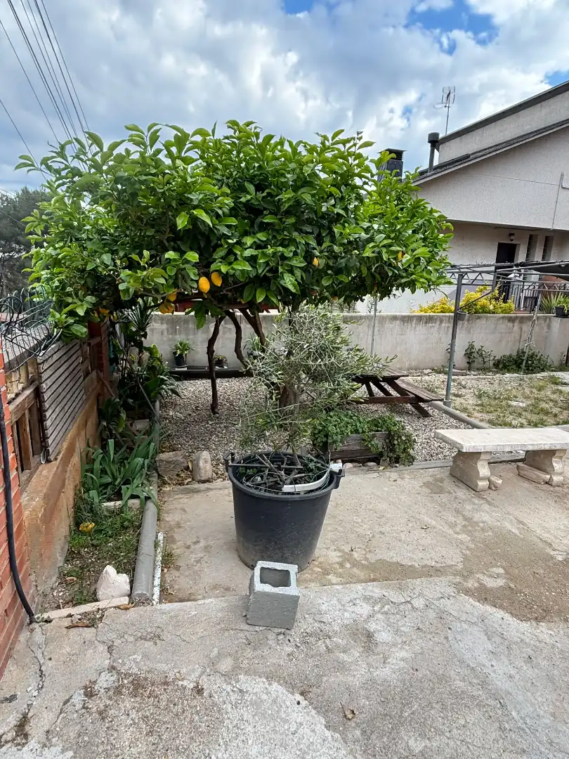 Villa avec terrasse à vendre à Carrer de les Garrigues, imagen 89